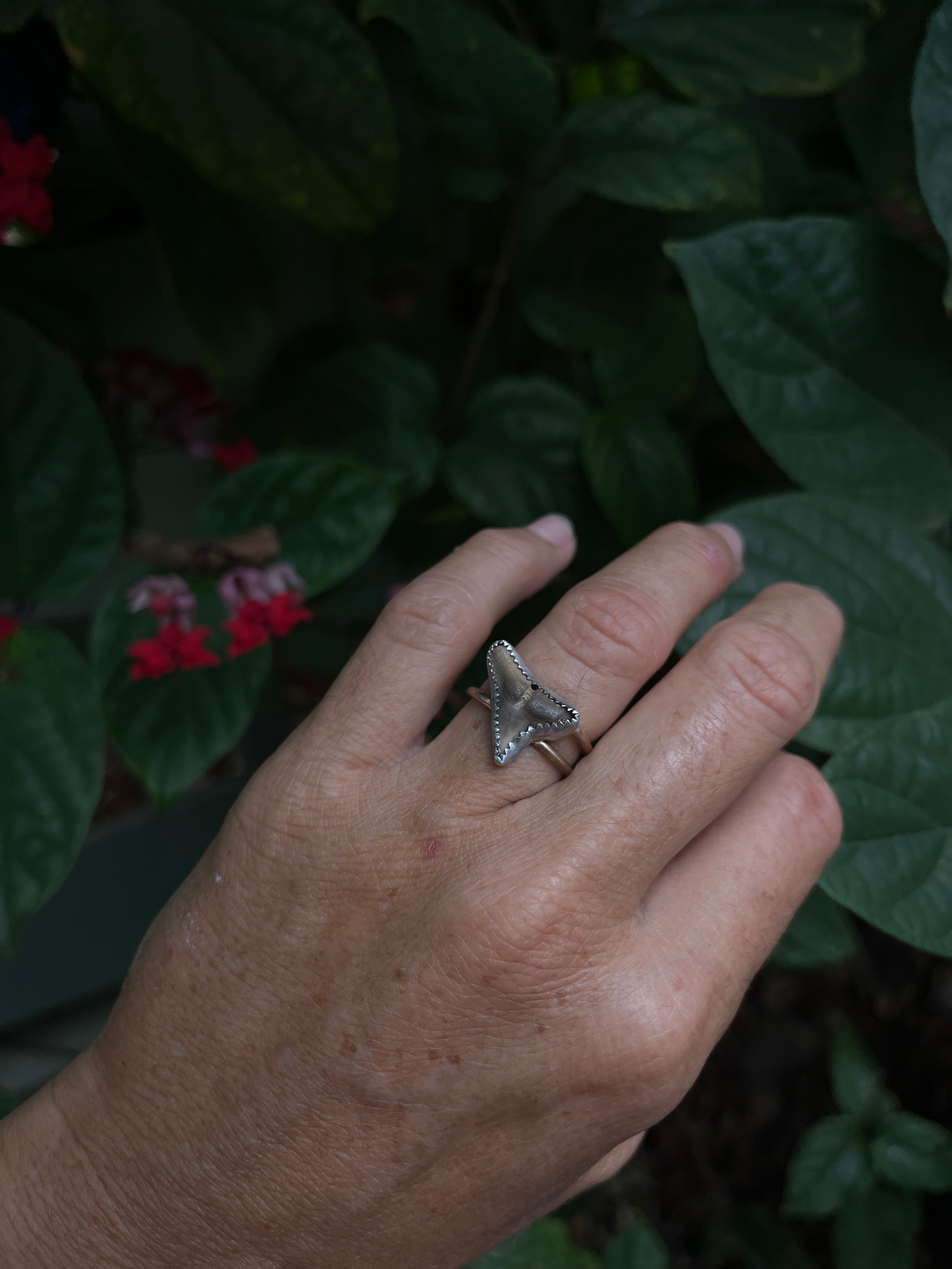 Shark Tooth Ring (sterling / 14k gf)