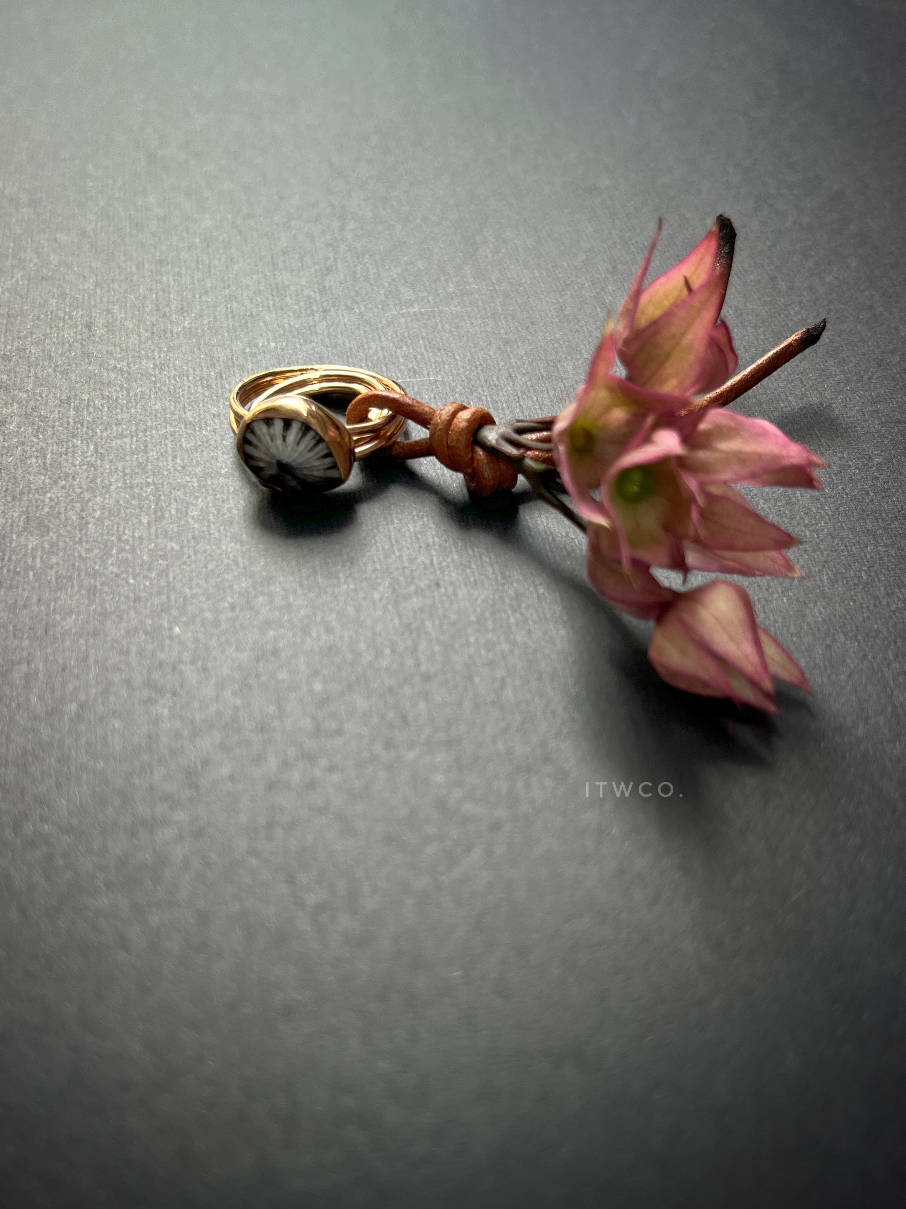 Double Band 'Opihi Shell Ring MTO