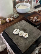 Granulated Cowrie Ring MTO
