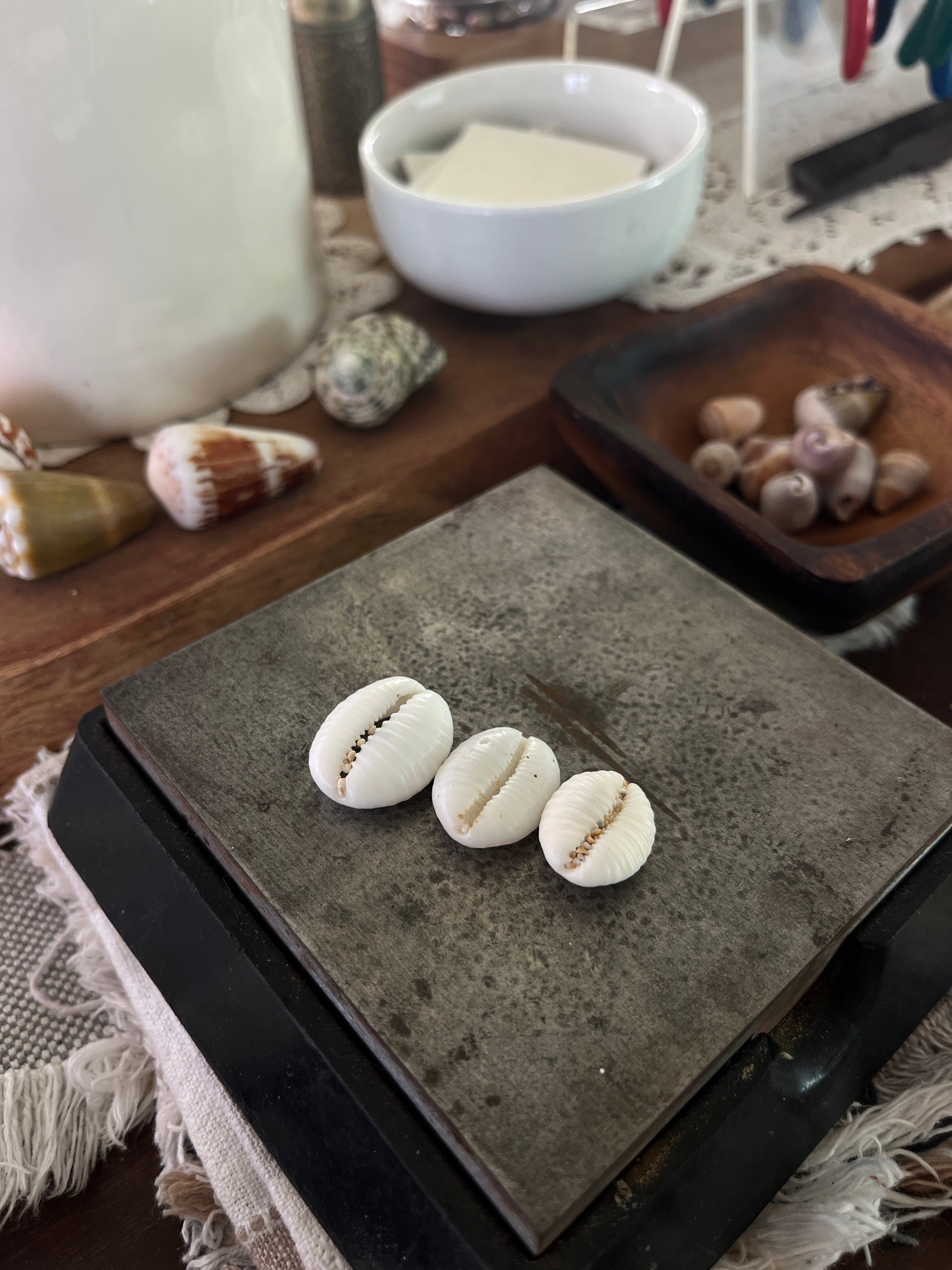 Granulated Cowrie Ring MTO