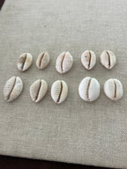 Granulated Cowrie Ring MTO