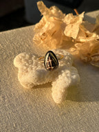 Chaldean Shell Ring | Sz. 7.8