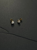 14k gf Mini Puka Shell Studs