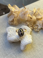 Chaldean Shell Ring | Sz. 7.8