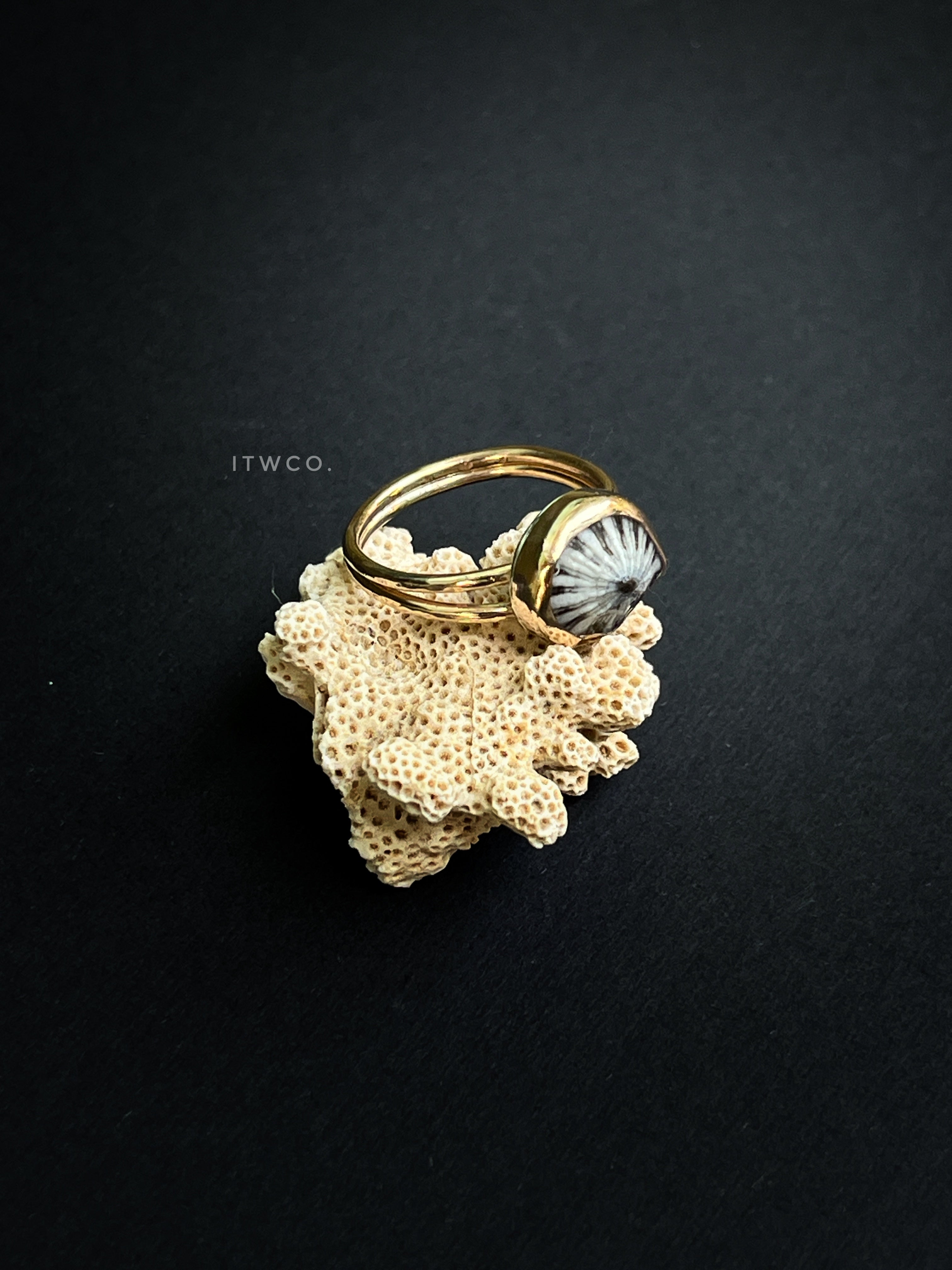 Double Band 'Opihi Shell Ring MTO
