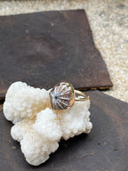 'Opihi Shell Ring MTO