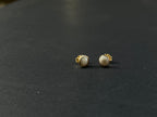 14k gf Mini Puka Shell Studs