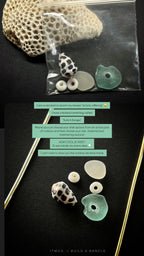 Workshop Schedule|| September